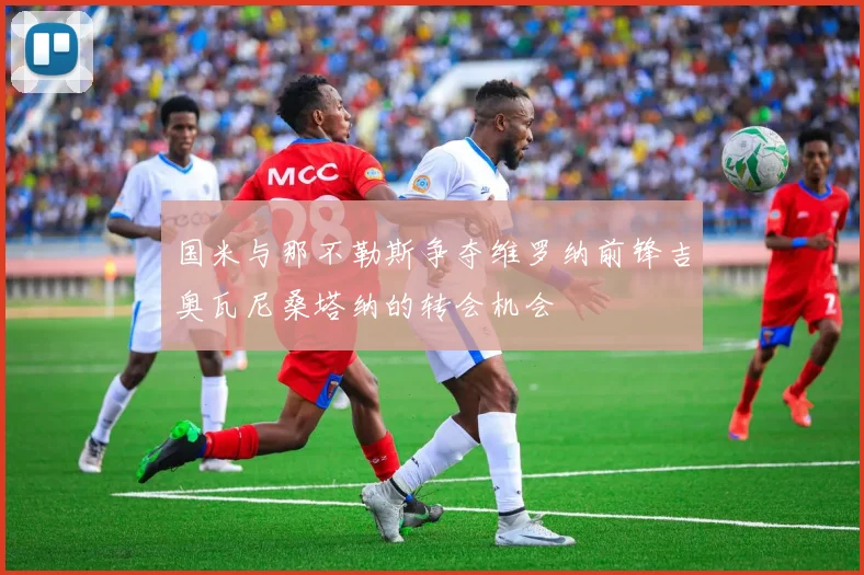 国米与那不勒斯争夺维罗纳前锋吉奥瓦尼桑塔纳的转会机会