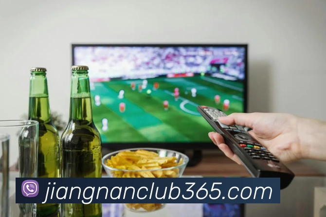 App Interface Preview